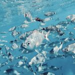 Port de Sóller: Snorkeling Tour with Professional Guide - What’s Included & What to Bring