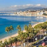 Port of Cannes : Personalized private tour - Who Will Love This Tour?
