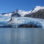 Portage Glacier Cruise and Wildlife Explorer Tour - How the Tour Is Structured and Why It Matters