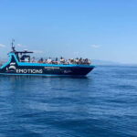 Portimão: Benagil Caves and Algarve Coast - Who Is This Tour Best For?