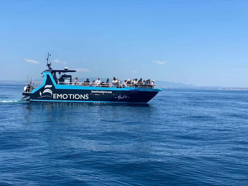 Portimão: Benagil Caves and Algarve Coast - Who Is This Tour Best For?