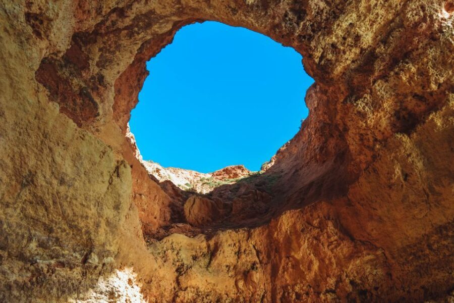 Portimão: Benagil Caves & Dolphins Watching with Biologist - Who Will Love This Tour?