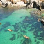 Portimão: Small Group Kayak Cave and Cliff Tour - What to Expect During the Tour
