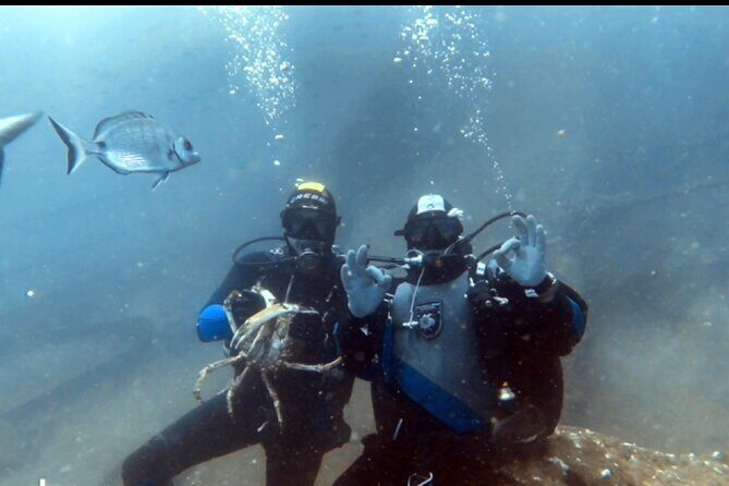 Portimão: Wreck Diving in the Ocean Revival Park - The Value of This Wreck Diving Tour