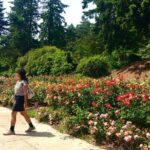 Portland, Oregon City Tour: Parks, Plazas and Views - Who is This Tour Best For?