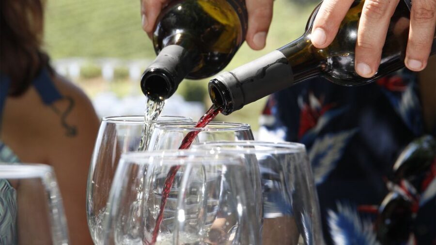 Porto: 3 Wine Regions & Farm Lunch with Views Small-Group - The Itinerary in Detail