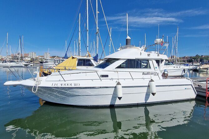 Porto: 6 bridges tour, Douro river with 4 Port Wine tasting - The Itinerary — What to Expect at Each Stop