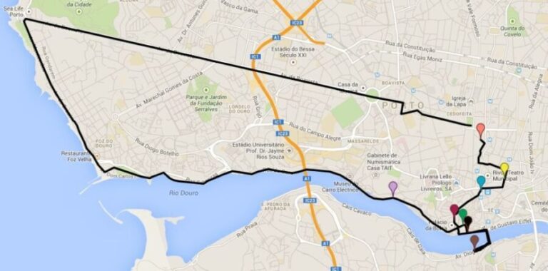 Porto 6-Hour Wine & Gastronomy Excursion by Bike - Who Will Love This Tour?