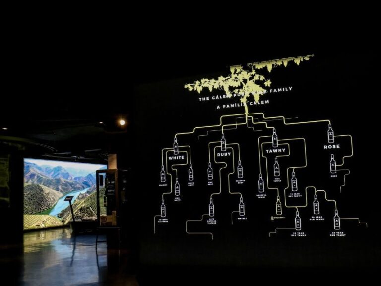Porto: Cálem Cellar Tour, Interactive Museum & Wine Tasting - Who Will Love This Tour?