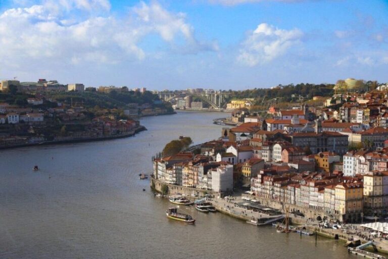 Porto city half-day Private Tour - Who This Tour Is Best For