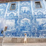 Porto City Tour: Private day tour with tickets included. - What to Expect at Each Major Stop