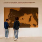 Porto: Cork Museum: Immersive and Perfect for Families - Who Should Consider Visiting?