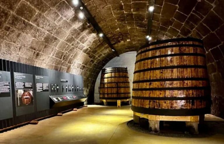 Porto: Cruise, Port Wine Cellars, Fado, and Dinner - The Experience: What to Expect from Start to Finish