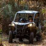 Porto: Dirt and Dust Tour by Oporto Buggy - Key Points