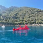 Porto : Discovery of the marine fauna and flora/Bay of Porto - The Experience Itself