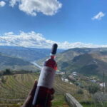 Porto: Douro Valley Half-Day Wine and Food Tour - The Detailed Itinerary