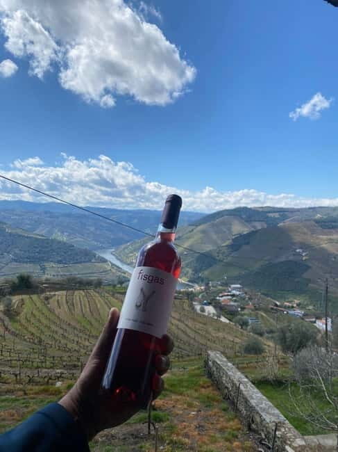 Porto: Douro Valley Half-Day Wine and Food Tour - The Detailed Itinerary
