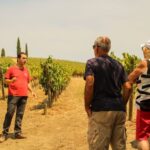 Porto: Douro Valley History & Wine Tour with Cruise & Lunch - What’s the Real Value?