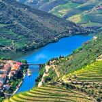 Porto: Douro Valley Private Tour 2 Vineyards & River Cruise - The Value of This Experience