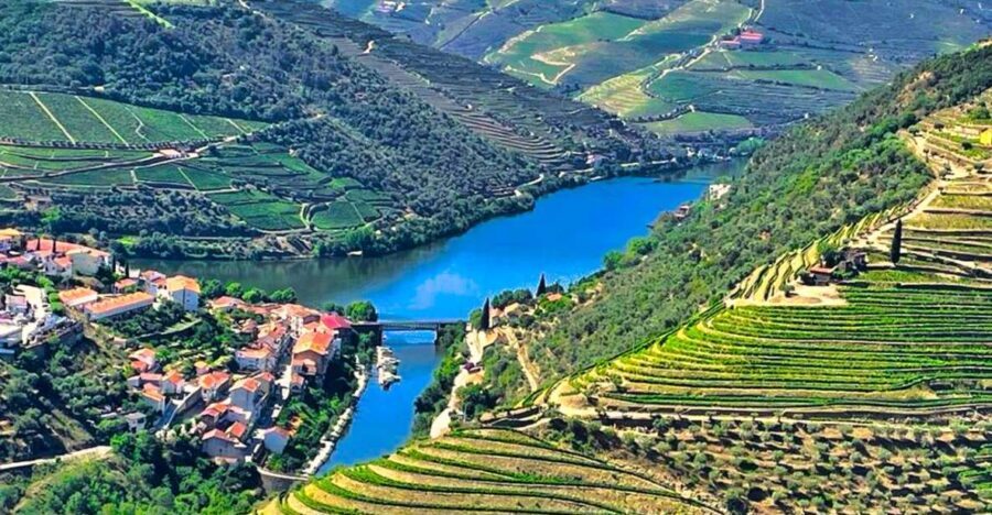 Porto: Douro Valley Private Tour 2 Vineyards & River Cruise - The Value of This Experience