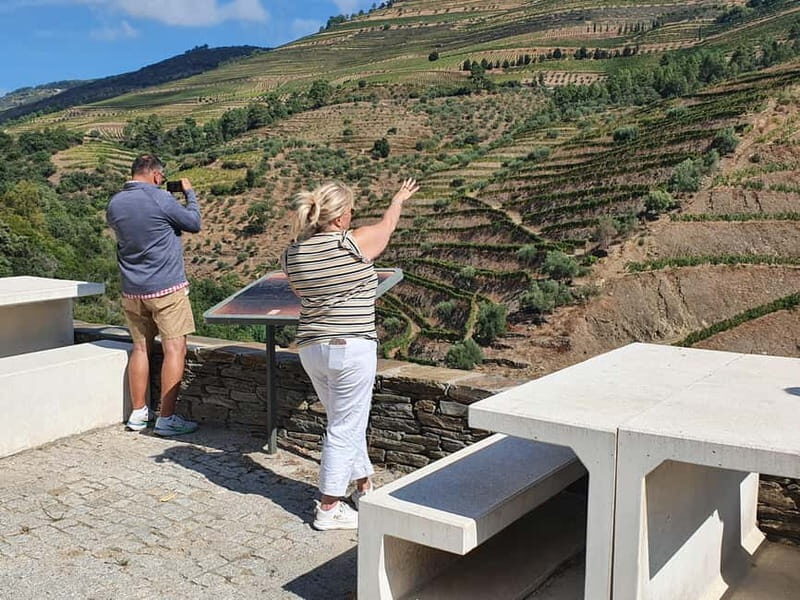 Porto: Douro Valley Private Tour with Winery Visit & Lunch - A Deep Dive into the Douro Valley Private Tour