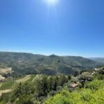 Porto: Douro Valley Tour with 2 Wineries, Lunch and Cruise - Major Highlights of the Tour