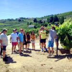 Porto: Douro Valley Vineyards Tour with Lunch & River Cruise - Practical Details and Tips