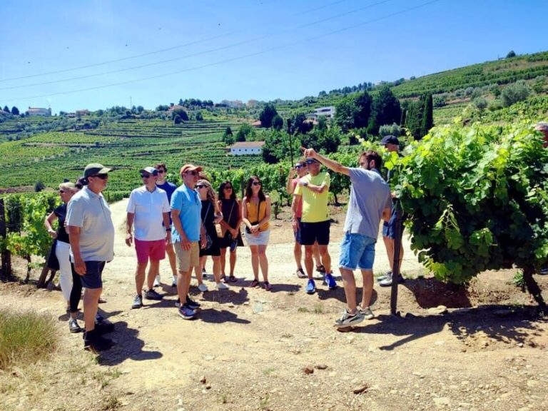 Porto: Douro Valley Vineyards Tour with Lunch & River Cruise - Practical Details and Tips