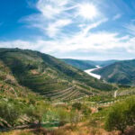 Porto: Douro Valley Wine Tour with Lunch, Tastings & Cruise - Breakdown of the Itinerary