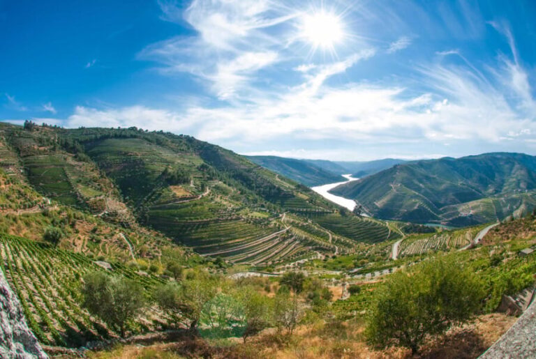 Porto: Douro Valley Wine Tour with Lunch, Tastings & Cruise - Breakdown of the Itinerary