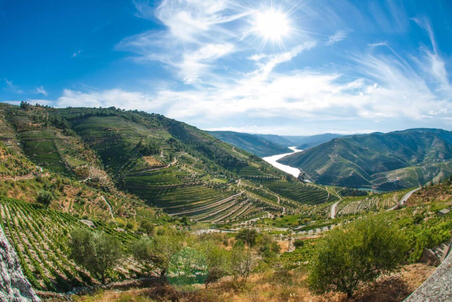 Porto: Douro Valley Wine Tour with Lunch, Tastings & Cruise - Breakdown of the Itinerary