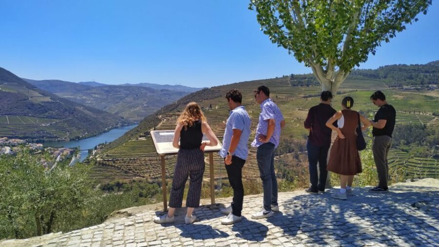 Porto: Douro Valley Wine Tour with Tastings, Boat, and Lunch - Exploring the Port Wine Producer