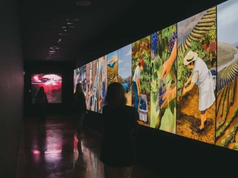 Porto: Fonseca Wine Cellar & WOW The Wine Experience - The Value of the Tour