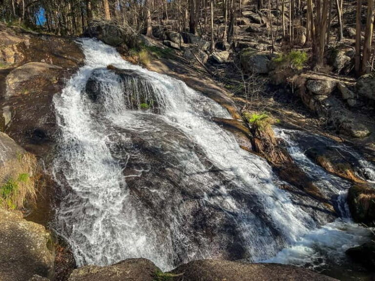Porto: Forest Waterfalls & Roman Ruins Trail Tour - The Practical Details