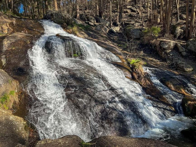 Porto: Forest Waterfalls & Roman Ruins Trail Tour - The Practical Details