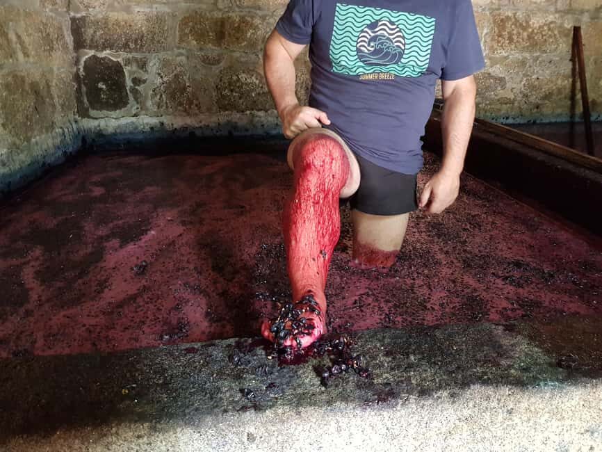 Porto: Green Wine Tasting and visit - What’s Included and What to Expect