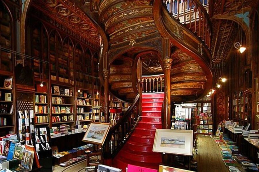 Porto Half-Day Tour & Port Wine Tasting - Authentic Feedback from Travelers