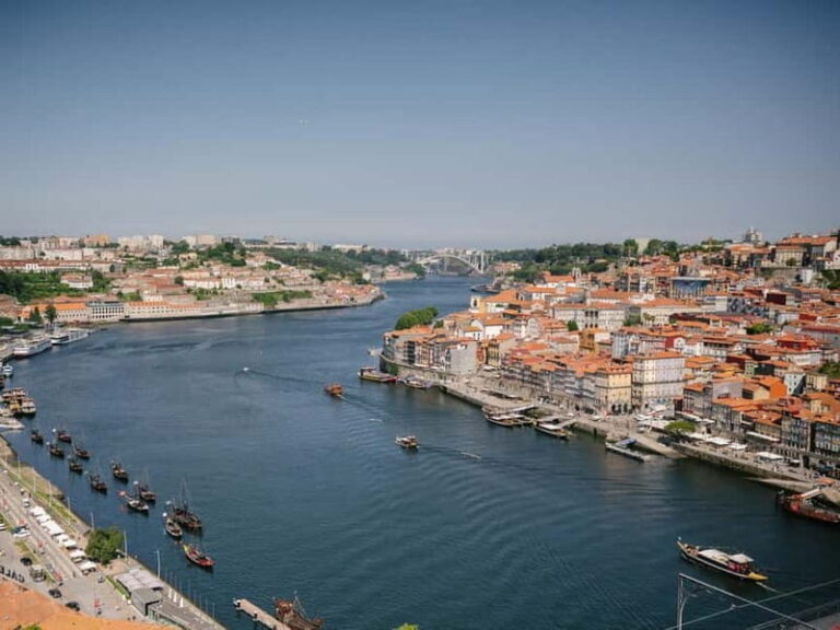 Porto: Highlights in 3 Hours E-Bike Tour - What to Expect from the Tour