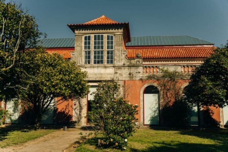 Porto: National Museum Soares dos Reis E-Ticket & City Tour - Practical Details & Tips