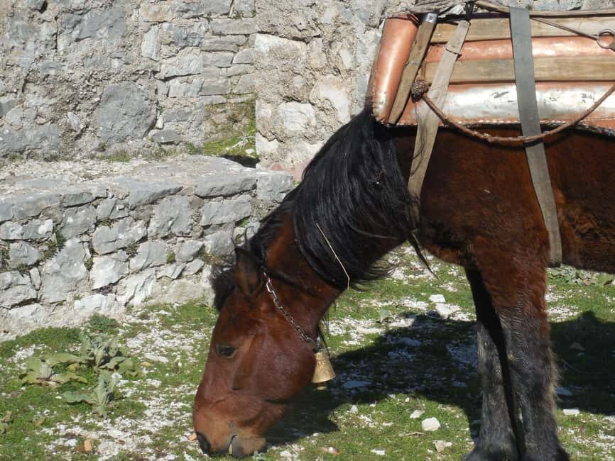 Porto Palermo, Qeparo & Borsh Waterfall Tour - The Itinerary in Detail