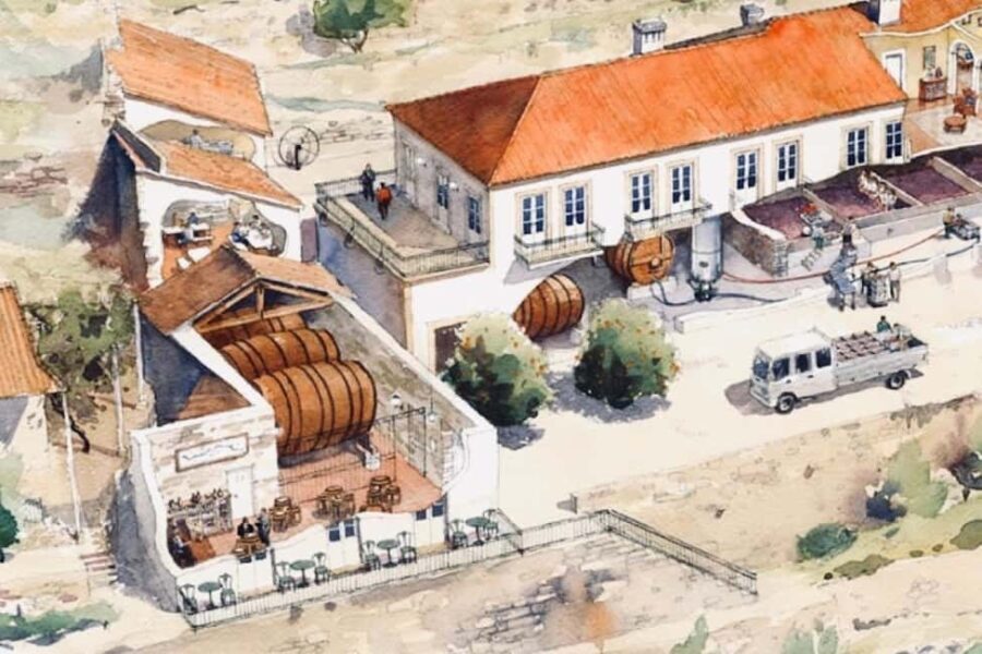 Porto: premium wine tour at Fonseca cellars - Who Would Love This Tour?