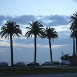 Porto: Private Bike Tour with a Local Guide - The Itinerary: What to Expect and Why It Matters