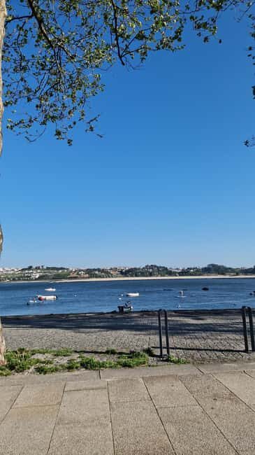 Porto: Private City Tour w/ Seafood Lunch and Coastal Views - The Sum Up