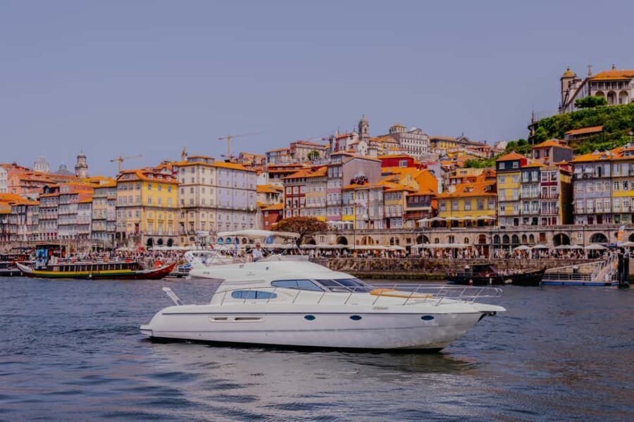 Porto: Private Cruise with local Wine, Snacks & 6 Bridges - The Review from Travelers