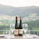 Porto: Private Green Wine Tour: Visit 2 Wine Estates & Lunch - Final Thoughts