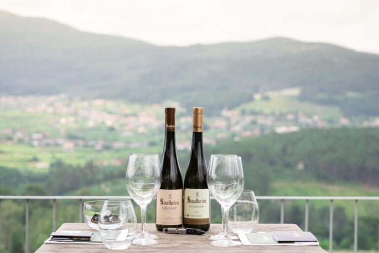 Porto: Private Green Wine Tour: Visit 2 Wine Estates & Lunch - Final Thoughts