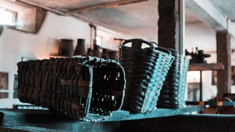 Porto: Private Tour Douro Valley/Winery SECXVIII /Boat/Lunch - The Experience from a Traveler’s Perspective