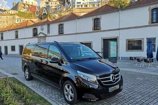 Porto Private Tour from Lisbon with Douro Cruise and Wine Tasting - Cons and Considerations