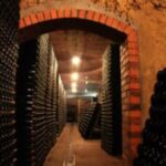 Porto: Private tour in Bairrada - From wine to suckling pig with tradition. - The Itinerary: What to Expect on Your Day