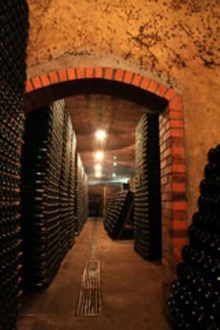 Porto: Private tour in Bairrada - From wine to suckling pig with tradition. - The Itinerary: What to Expect on Your Day